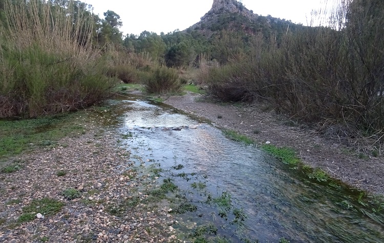 Fotos de la ruta